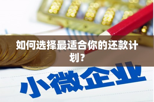 尧都如何选择最适合你的还款计划？
