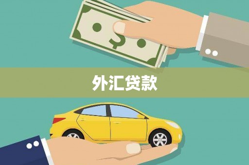尧都外汇贷款