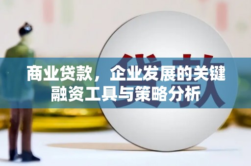 尧都商业贷款，企业发展的关键融资工具与策略分析