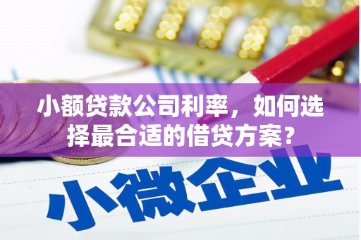 尧都小额贷款公司利率，如何选择最合适的借贷方案？