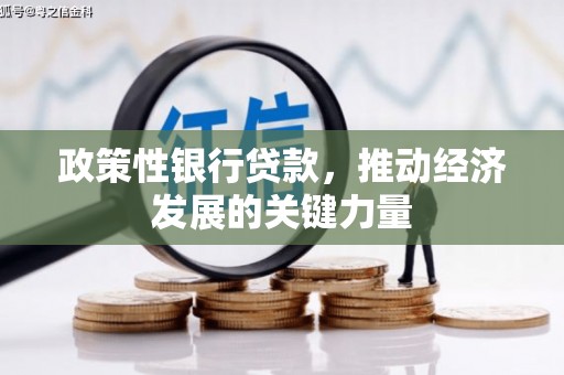 尧都政策性银行贷款，推动经济发展的关键力量
