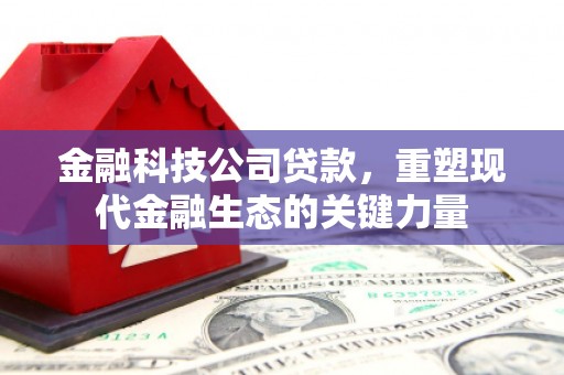 尧都金融科技公司贷款，重塑现代金融生态的关键力量