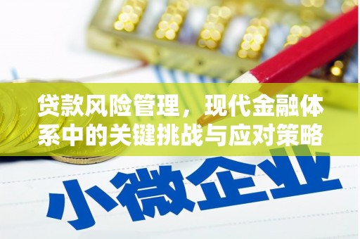 尧都贷款风险管理，现代金融体系中的关键挑战与应对策略
