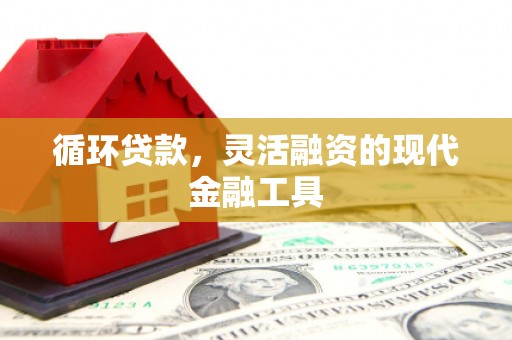 尧都循环贷款，灵活融资的现代金融工具