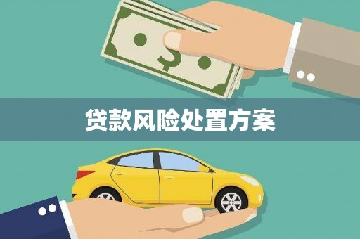 尧都贷款风险处置方案